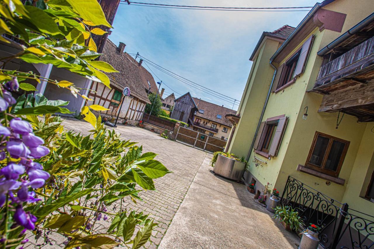 Gite Le Coeur D'Alsace Boofzheim Esterno foto