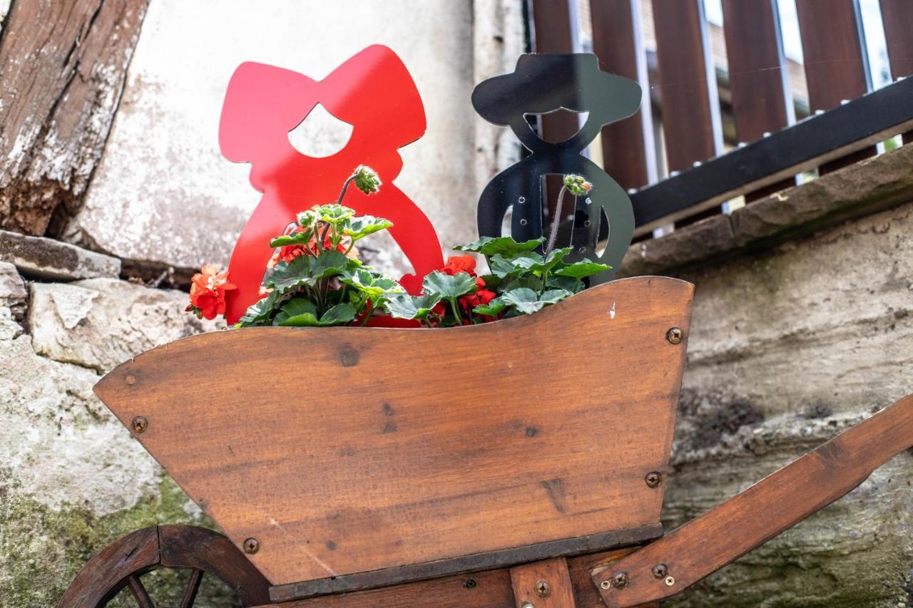 Gite Le Coeur D'Alsace Boofzheim Esterno foto