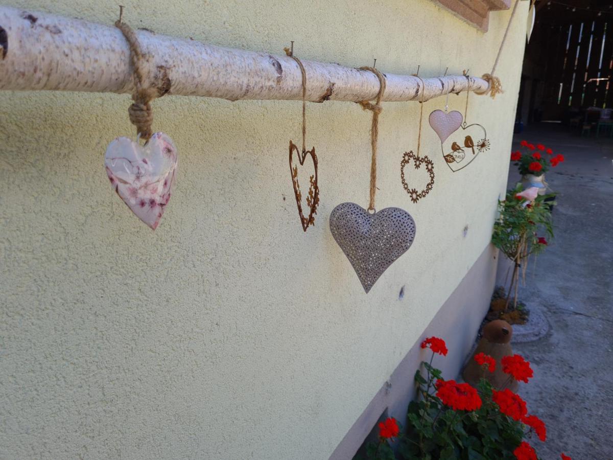 Gite Le Coeur D'Alsace Boofzheim Esterno foto